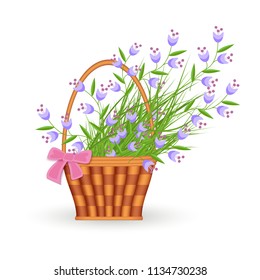 Blue little wild flowers in wicker basket with pink bow isolated on white background - flat vector illustration of spring or summer floral composition for seasonal design.
