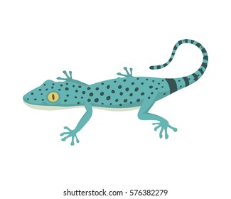 Blue lizard reptile isolated vector illustration.