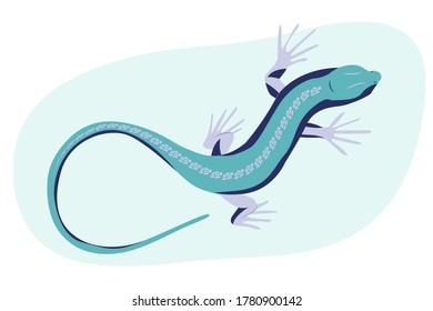 Blue lizard vector illustration. Reptile with long body and tail, four legs and blue skin. Design for poster, web site.