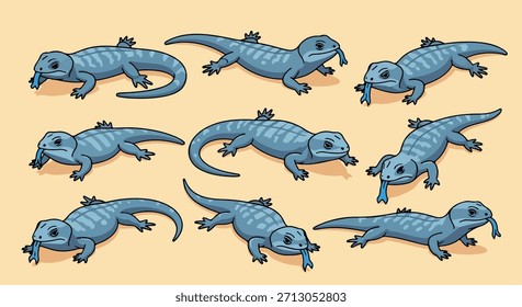 Lagartos azuis em várias poses