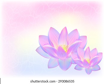 blue lotus pink on a gentle pink background with contour ornament