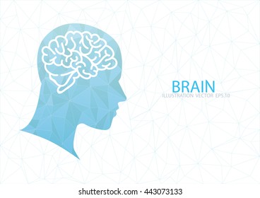 Blue low poly human head and brain on the white background