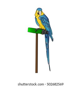 Blue macaw
