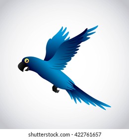 blue macaw design 