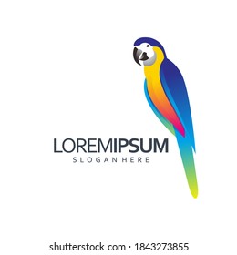 Blue macaw logo vector design