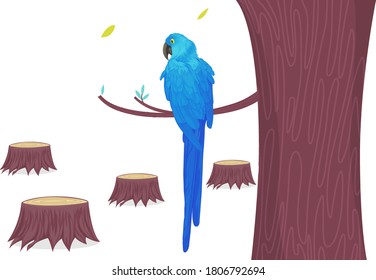 Blue macaw parrot only head hand drawing