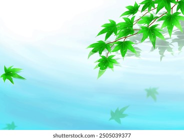 Blue maple and water surface background summer