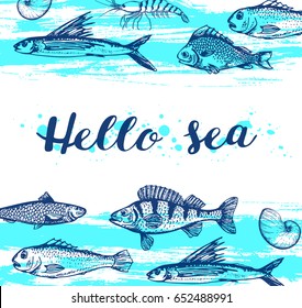 Blue marine vector vintage background with shrimp and fish. Hello sea lettering.