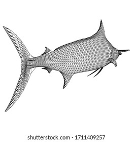 Blue Marlin fish polygonal lines illustration. Abstract vector fish on the white background
