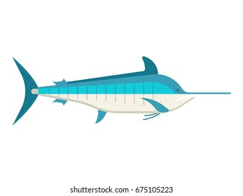 Blue marlin fish vector illustration. Ocean swordfish isolated on white background.