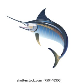 Blue marlin jumping. Vector illustration isolated on the white background