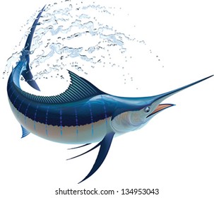 Blue marlin swinging in water sprays. Realistic vector illustration. Isolated on white background.