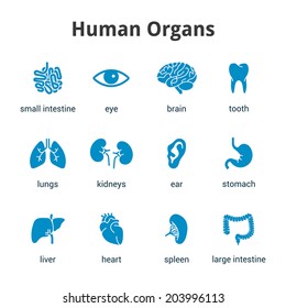 Blue Medical Human Organs Icon Set On White Background