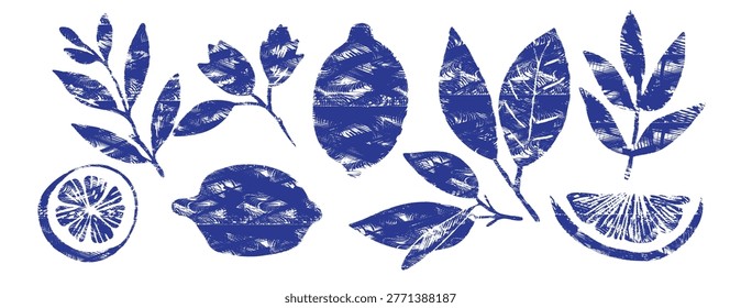 Blue Mediterranean lemons and leaves vector set. Hand-drawn linocut style for summer branding, Italian food packaging, and rustic menu design. Textured citrus fruit elements isolated on white