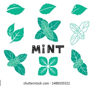 Blue mint leafs. Icons and silhouettes set. Leaves and branches. Vector illustration isolated on a white background. organic logo concept.