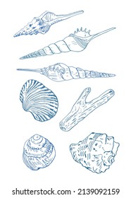 Blue monochromatic various mollusk seashell set vector drawing on white background isolated.
