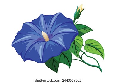 Blue morning glory flower flat vector illustration.