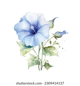 Azul Morning Glory Watercolor. Clásico de Flor de Gloria Azul Morning Watercolor Azul. Buques de flores azules. Arreglos florales de la Boda Azul. Decoración de bodas, invitaciones, tarjetas