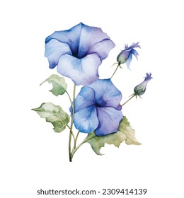 Blue Morning Glory Watercolor. Watercolor Blue Morning Glory Flower clipart. Blue floral bouquets. Blue Wedding floral arrangements. Wedding decor, invitations, cards