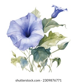 Blue Morning Glory Aquarell. Aquarell Blue Morning Glory Blume Clip Art. Blumenstrauß. Blumenarrangements für blaue Hochzeiten. Hochzeitsdekor, Einladungen, Karten