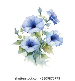 Azul Morning Glory Watercolor. Clásico de Flor de Gloria Azul Morning Watercolor Azul. Buques de flores azules. Arreglos florales de la Boda Azul. Decoración de bodas, invitaciones, tarjetas