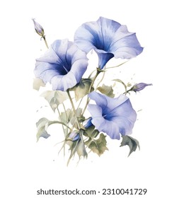 Azul Morning Glory Watercolor. Clásico de Flor de Gloria Azul Morning Watercolor Azul. Buques de flores azules. Arreglos florales de la Boda Azul. Decoración de bodas, invitaciones, tarjetas