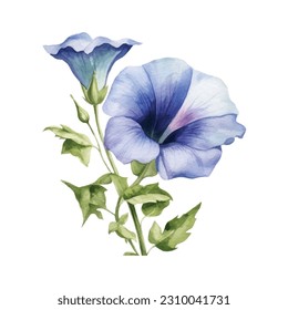 Azul Morning Glory Watercolor. Clásico de Flor de Gloria Azul Morning Watercolor Azul. Buques de flores azules. Arreglos florales de la Boda Azul. Decoración de bodas, invitaciones, tarjetas