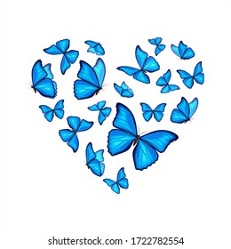 blue butterfly heart wallpapers