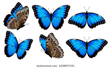 Blue morpho butterflies set. Vector illustration isolated on white background