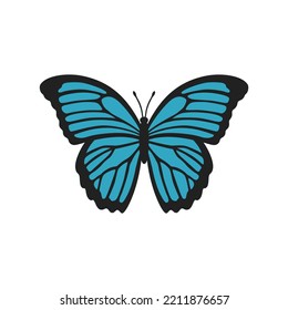 Blue Morpho butterfly illustration. Realistic butterfly with textured wings. Beautiful butterfly for scrapbooking. Vector illustration