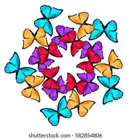 blue morpho the butterfly monarch circular pattern  vector illustration