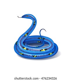 Blue mottled snake, coiled up in a ball. Isolated on white background. Vector illustration.
