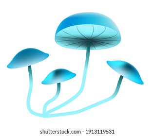 blue mycena mushroom.set of four rare blue mushrooms on an isolated background.