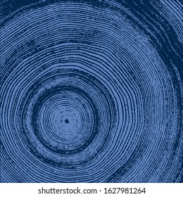 Blue natural stamp of wood texture of tree rings from a slice of log. Contrast negative monotone image of cut tree.