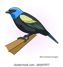 Blue necked tanager bird learn birds educational game vector illustration