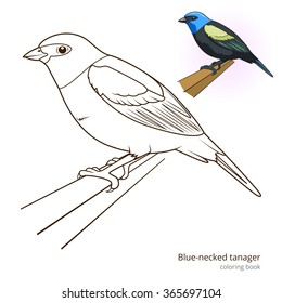 Blue necked tanager bird learn birds educational game coloring book vector illustration