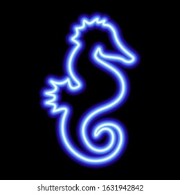 blue neon sign of sea horse on black background