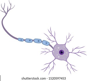 Blue Neuron Cell. Brain Activity And Dendrites. Scientific Cartoon Illustration. Microbiology And Mind. Membrane And The Nucleus