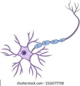 Blue Neuron Cell. Brain Activity And Dendrites. Scientific Cartoon Illustration. Microbiology And Mind. Membrane And The Nucleus