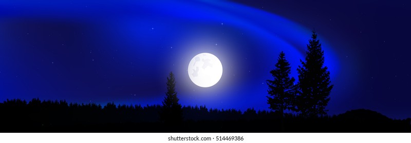 Blue northern lights. Moonlight. Coniferous forest. Website template.