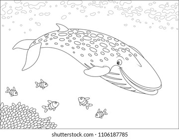 Blue northern whale swimming near a reef, black and white vector illustration in a cartoon style for a coloring book