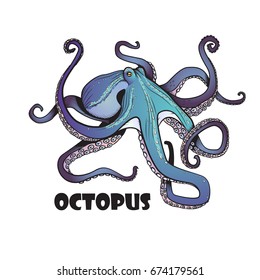 Blue octopus illustration