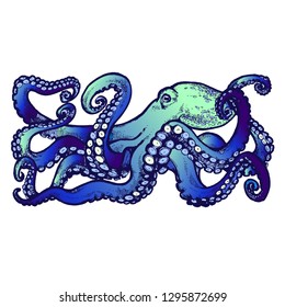 Blue Octopus with tentacles. Hand drawn stock vector illustration