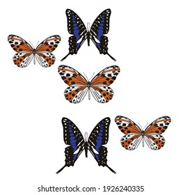 blue and orange colored butterflies set