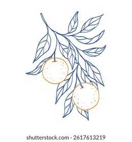 A blue and orange drawing of an orange tree branch with two oranges on it. The drawing has a light and cheerful mood