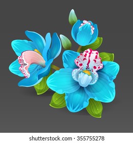 Blue orchid