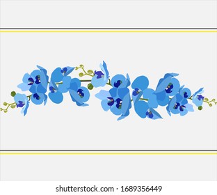 BLUE ORCHID BETWEEN YELLOW AND GRAY LINE