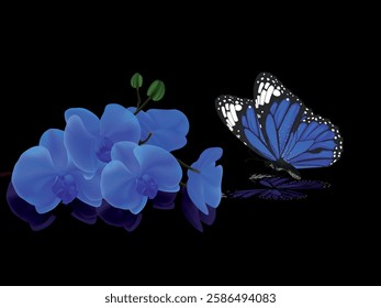 blue orchid and blue butterfly on black background