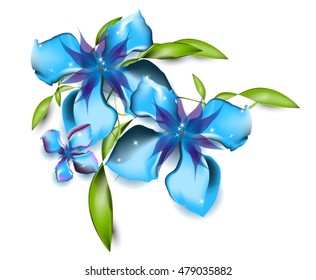 Blue Orchid Flower Vector