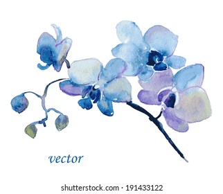 Blue Orchid Flower. Watercolor Floral Illustration. Floral Decorative Element. Vector Floral Background.